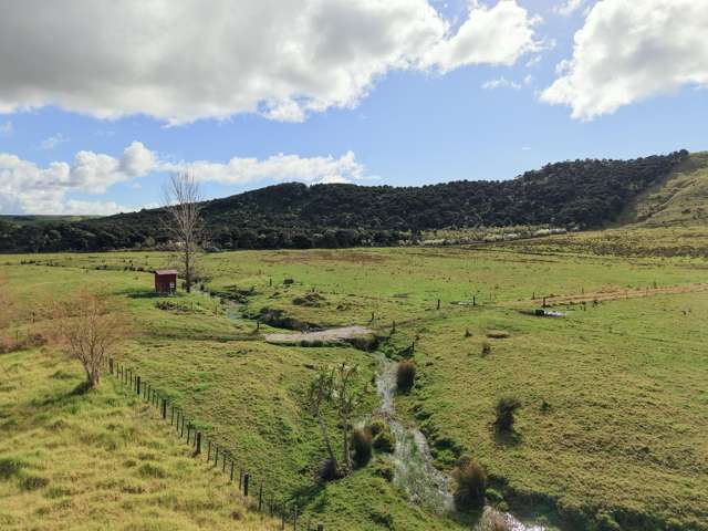 Te Moho Road Taipa_3