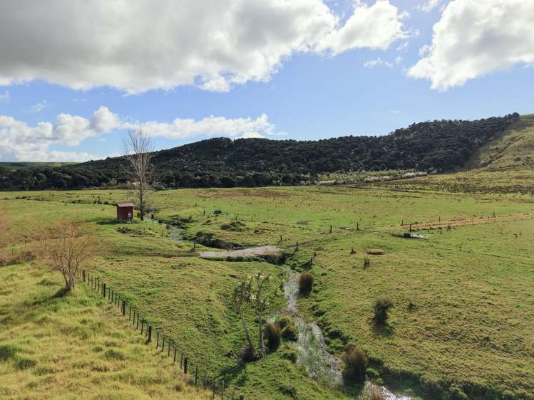 Te Moho Road_3