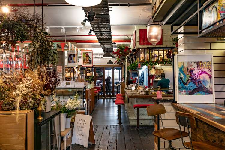 15a Rose Road Grey Lynn_22