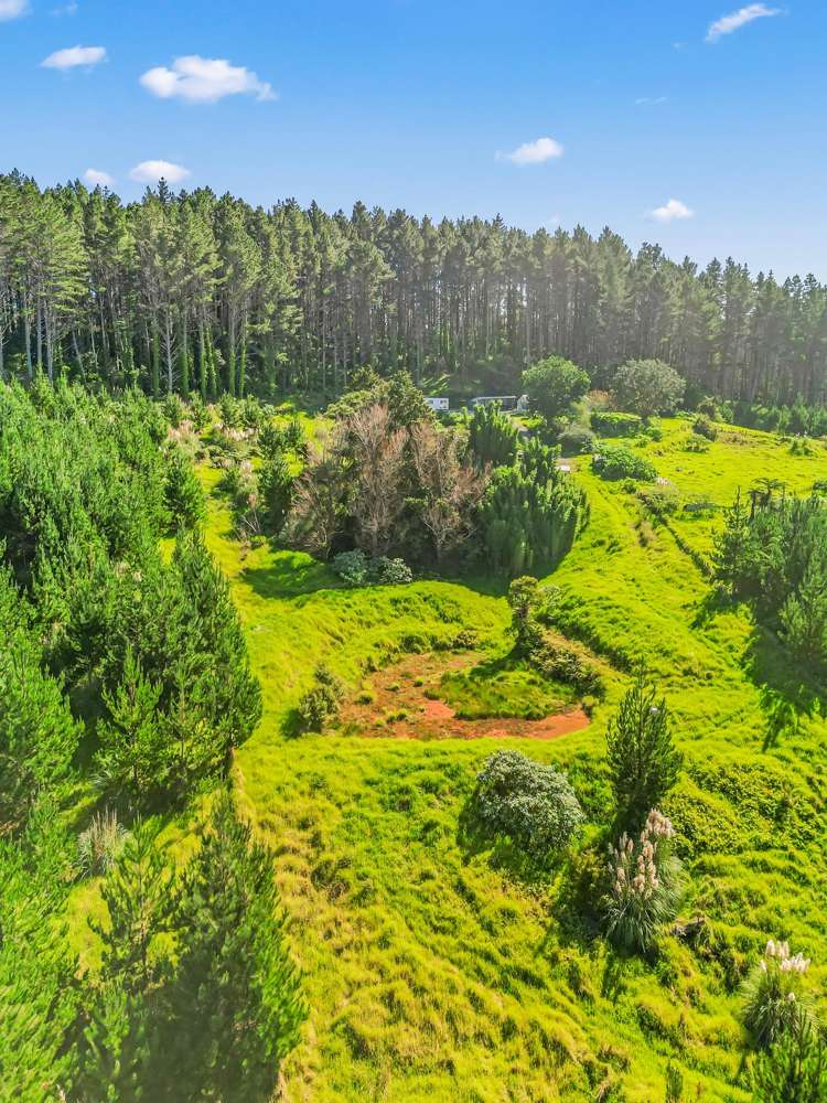 110 Whangape Track Road Broadwood_42