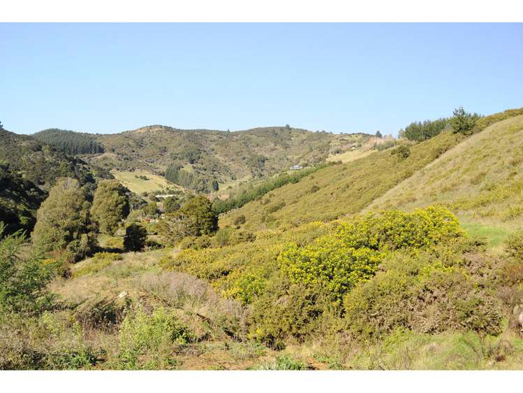 9 Skylark Rise Todds Valley_6