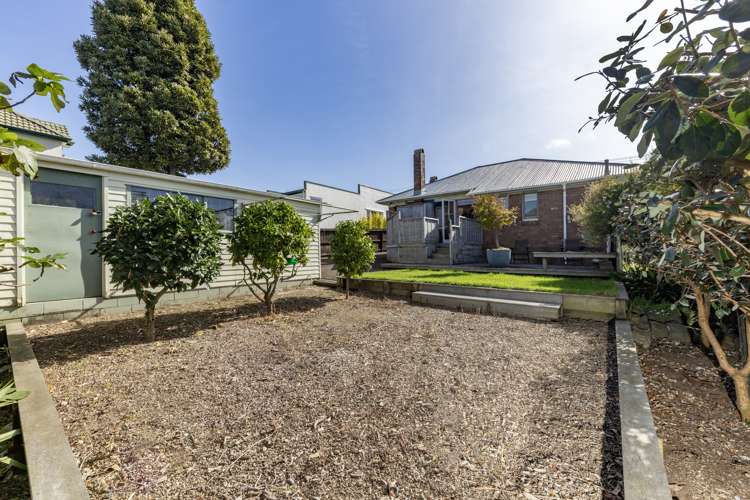 217 Campbell Road Greenlane_14