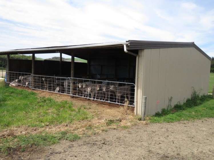 80 Avery Road Pahiatua_8