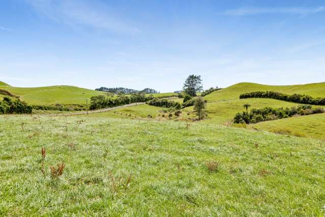 Lot 1 Lincoln Road Inglewood_2