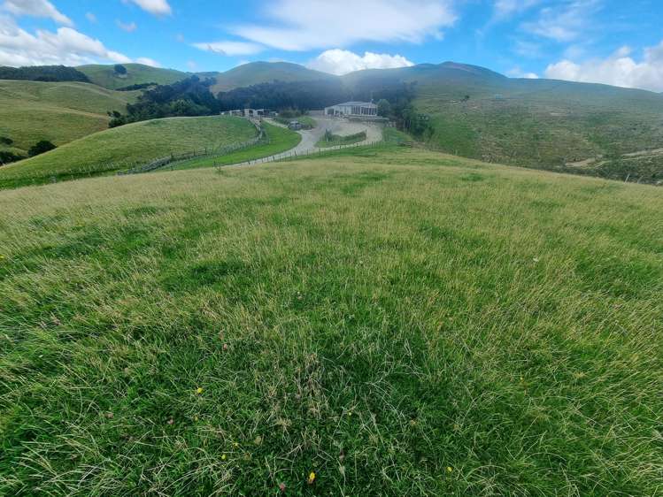 4820 Pahiatua Pongaroa Road Pongaroa_39