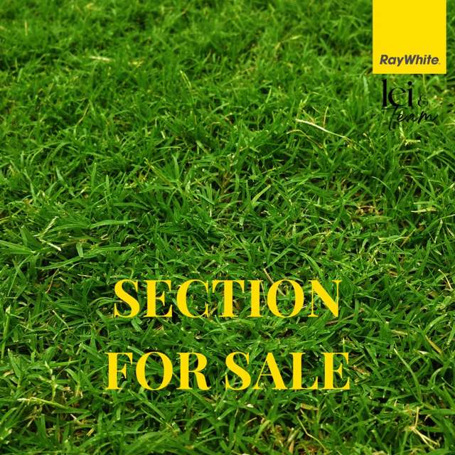 31 or 29 McMenamin Place Fairview Heights_3