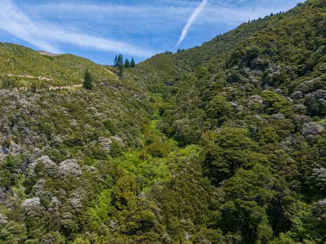 Price Reduced - Kārearea's Nest Awaits