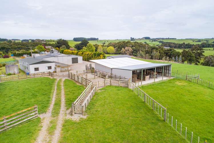 506 Sandon Road Feilding_8