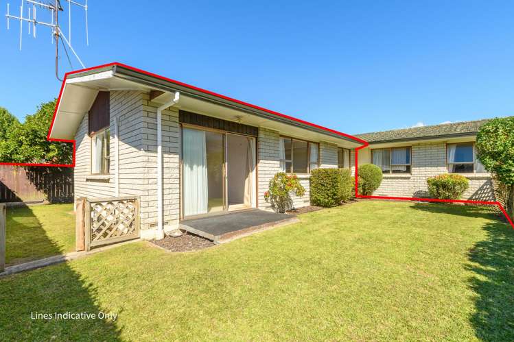 52d Third Avenue Tauranga Central_13