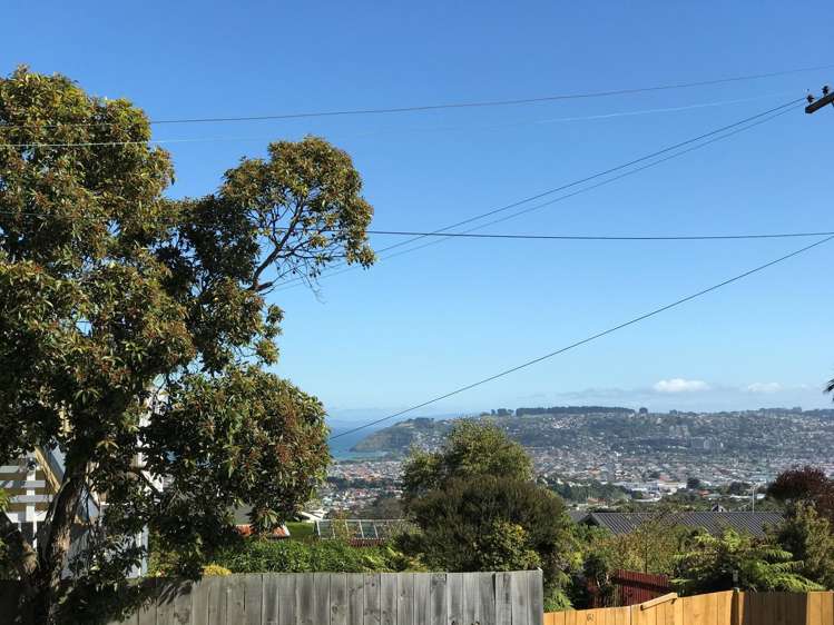 62 Murano Street Shiel Hill_8