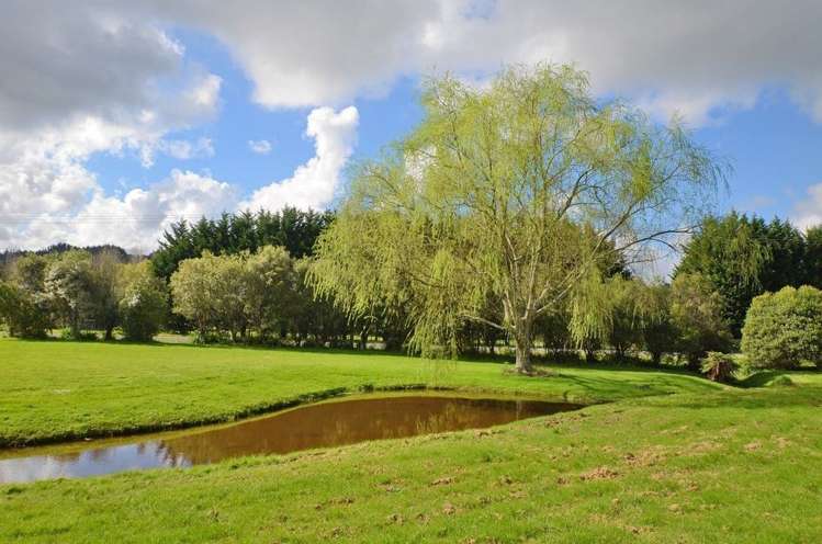 226 Harris Road Glenbervie_1