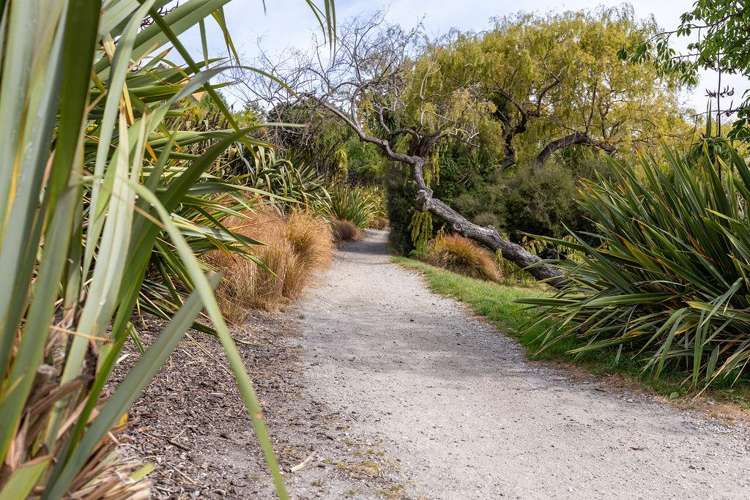 559 Peninsula Road Kelvin Heights_20