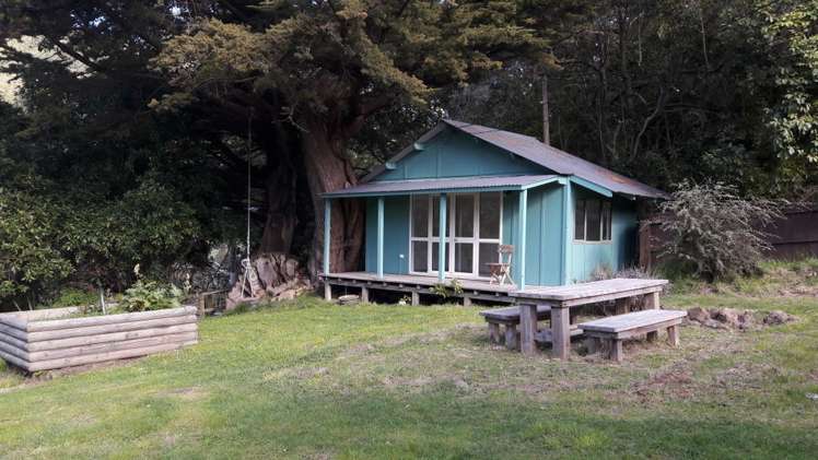 1457 Western Valley Road Port Levy_18