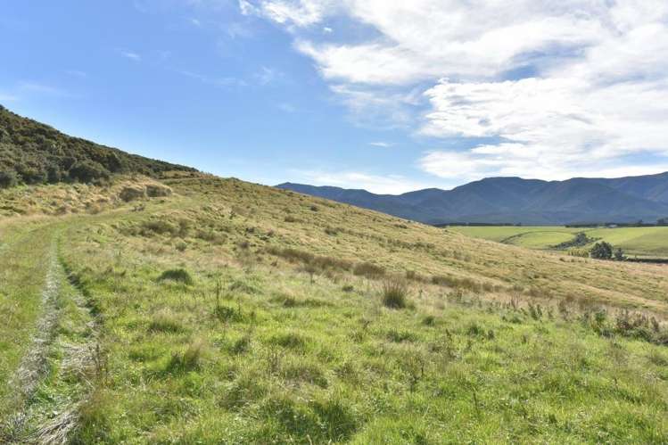 1588 Birch Hill Road Glentui_10