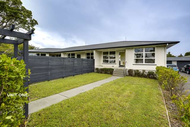 8 Chambers Street Havelock North_2