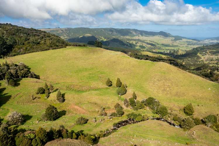 448 Taita Road Waimamaku_12