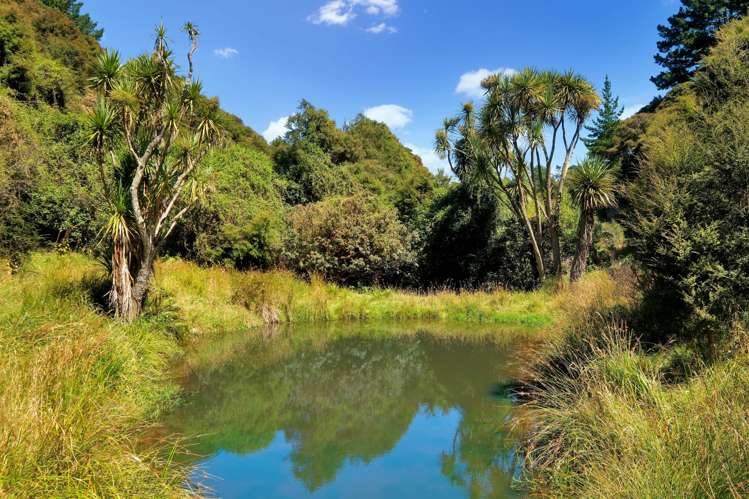 270 Chain Hills Road Chain Hills_40