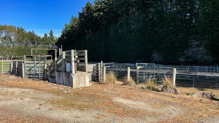 55 McGill Road Te Tipua_8