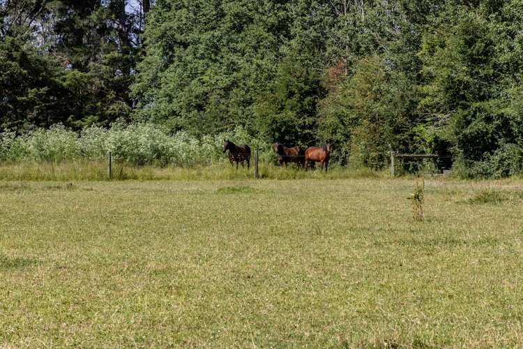 228 Whites Road Ohoka_20