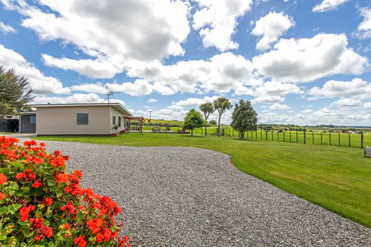 47 Viles Road Bulls_25