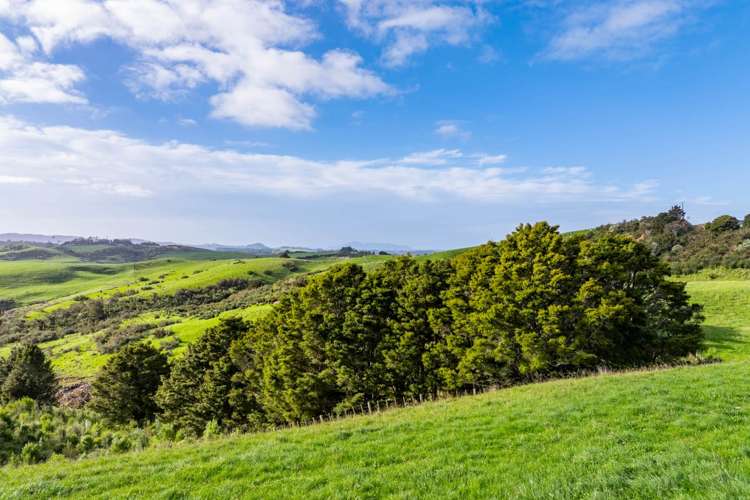 Lots1-7/450 Lawrence Road Mangawhai_24