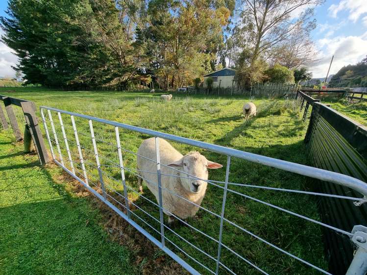 48 Stanly Street Eketahuna_18