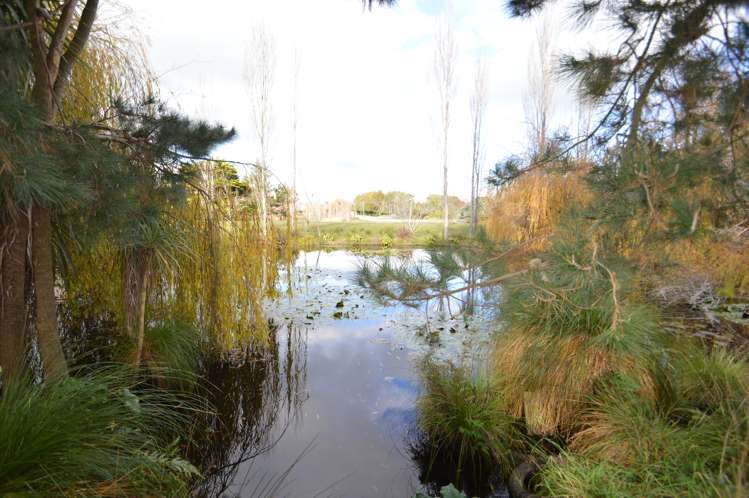 9 Te Whanga Road Levin_24