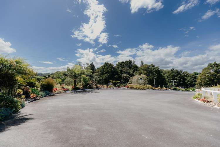 48 Bedlington Street Whau Valley_32