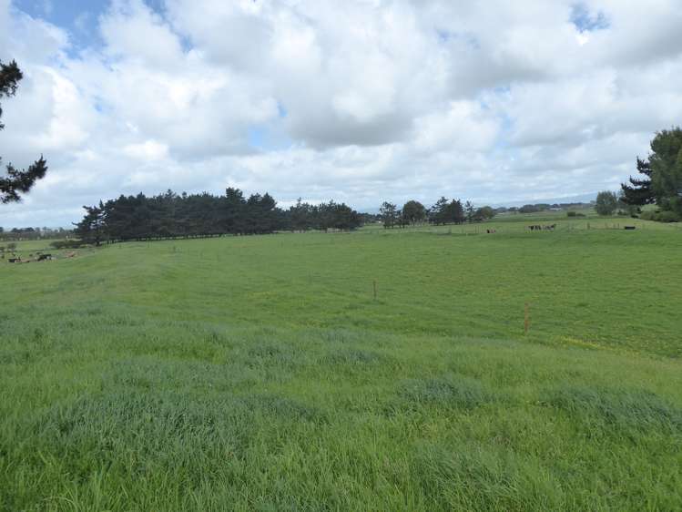 237 Kellow Road Rongotea_0