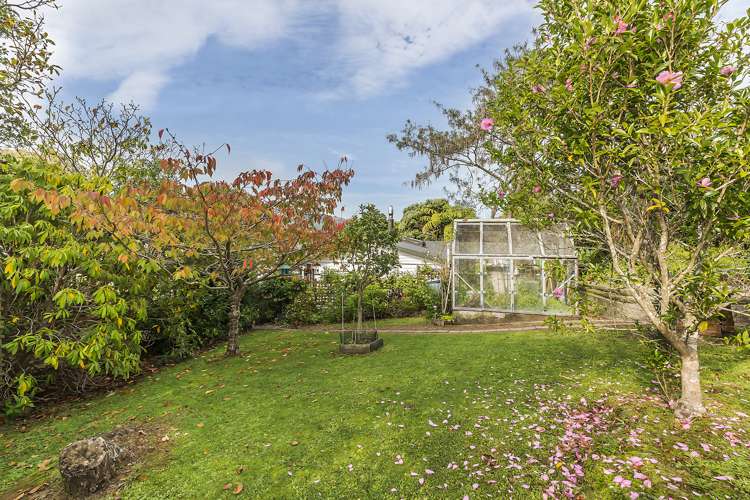 9 Magdalen Street Tawa_15