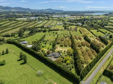 56 Thompsons Track_2