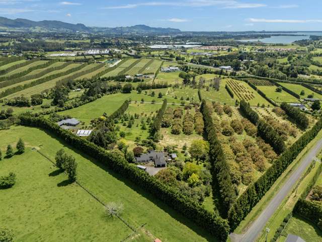 56 Thompsons Track Aongatete_2