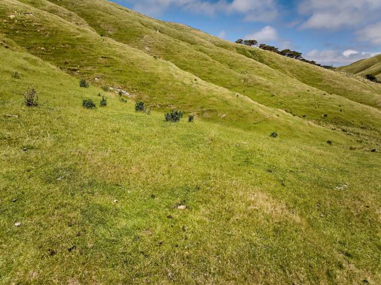 Lot 1 and 4 320 Boom Rock Road Ohariu Valley_17