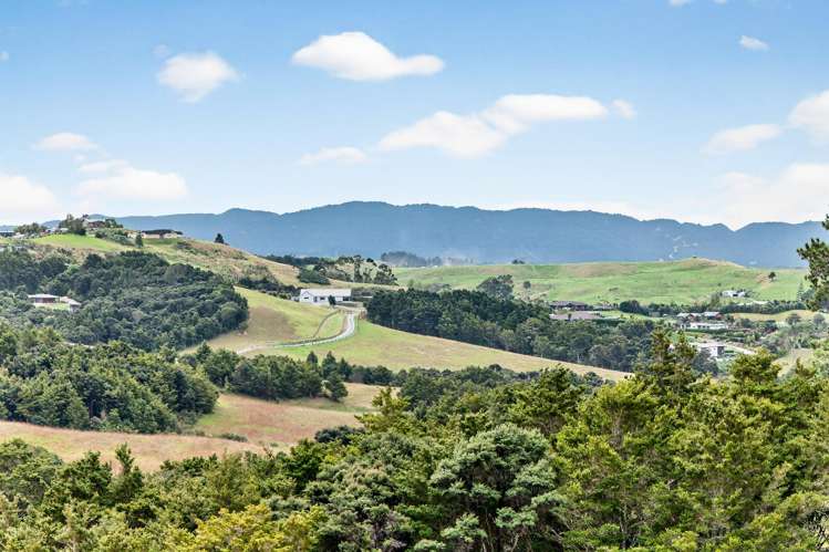 Mangawhai Bush Estate Mangawhai_24