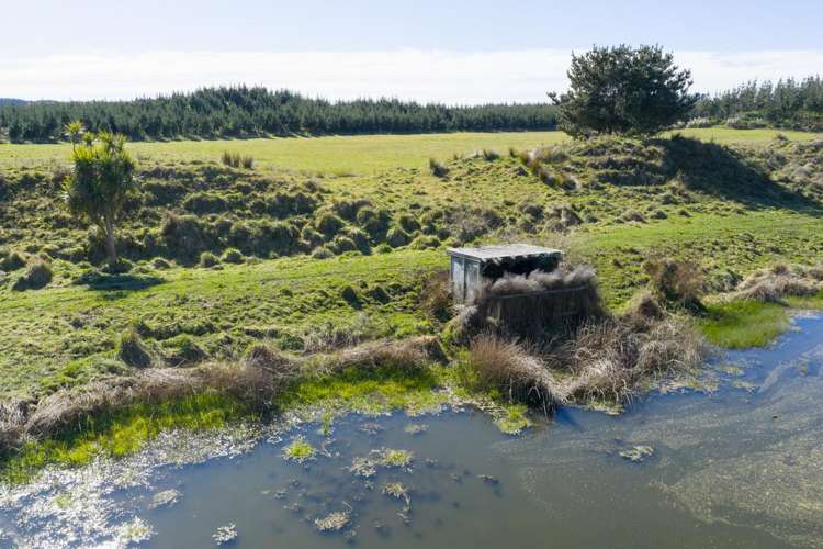 725 Raumai Road Bulls_15