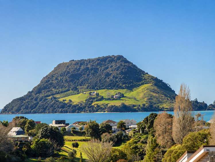 31 Hillcrest Road Otumoetai_11
