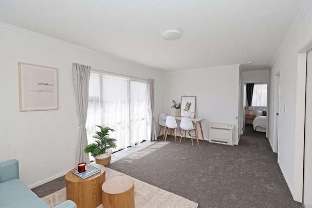 259 Nelson Street Strathern_4