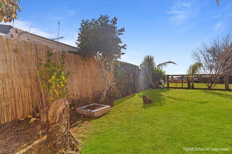 19a Pohutukawa Drive Owhata_13