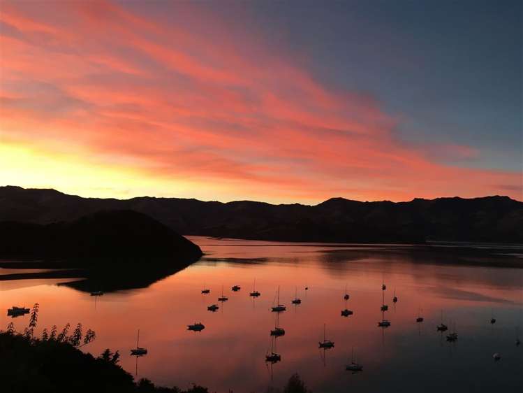 176 Wainui Main Road French Farm_22