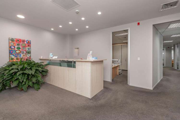 41 Monmouth Street Tauranga Central_5