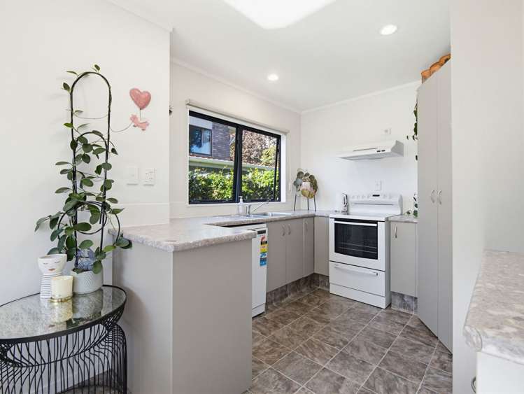 217A Ohauiti Road Tauranga South_9