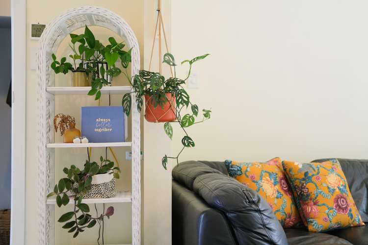 45 North Taieri Road Abbotsford_5