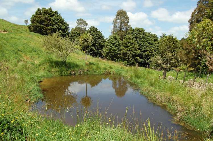 112 Tawa Avenue Kaiwaka_9