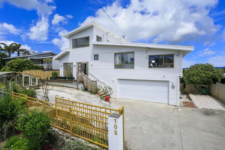 103 Exmouth Road Northcote_9
