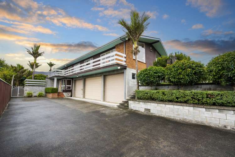 239 Cambridge Street Levin_12