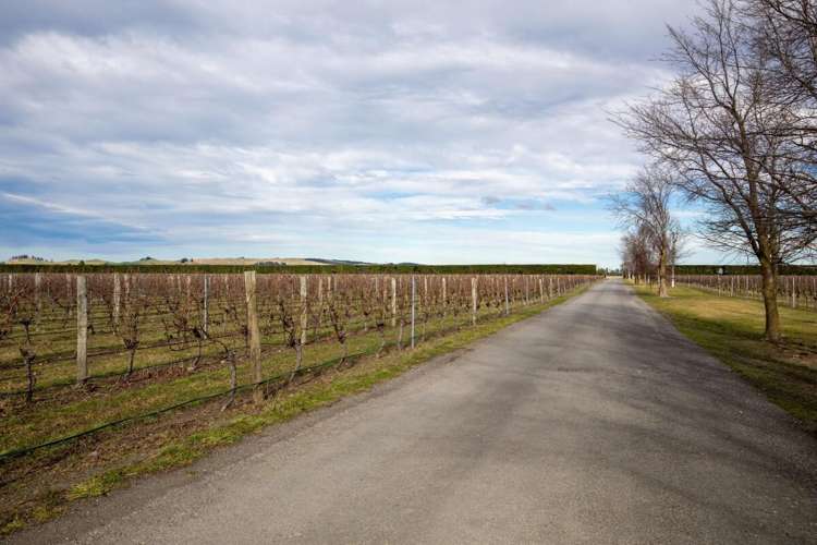 100 Georges Road Waipara_23