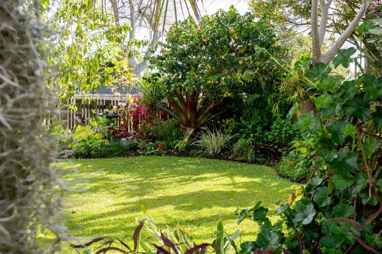 19 Eastglen Road Glen Eden_15