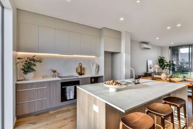 3/14 George Street Mount Eden_3