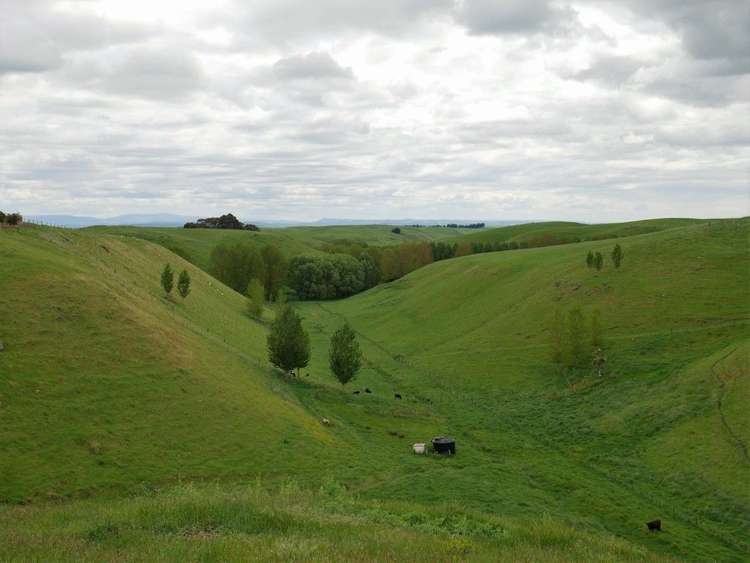 Whakapirau Road Maraekakaho_0