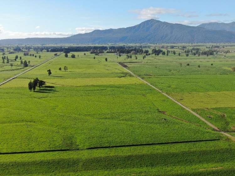 212-222 Municipal Road Kowhitirangi_19